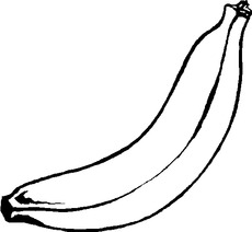 Banane 1.tif